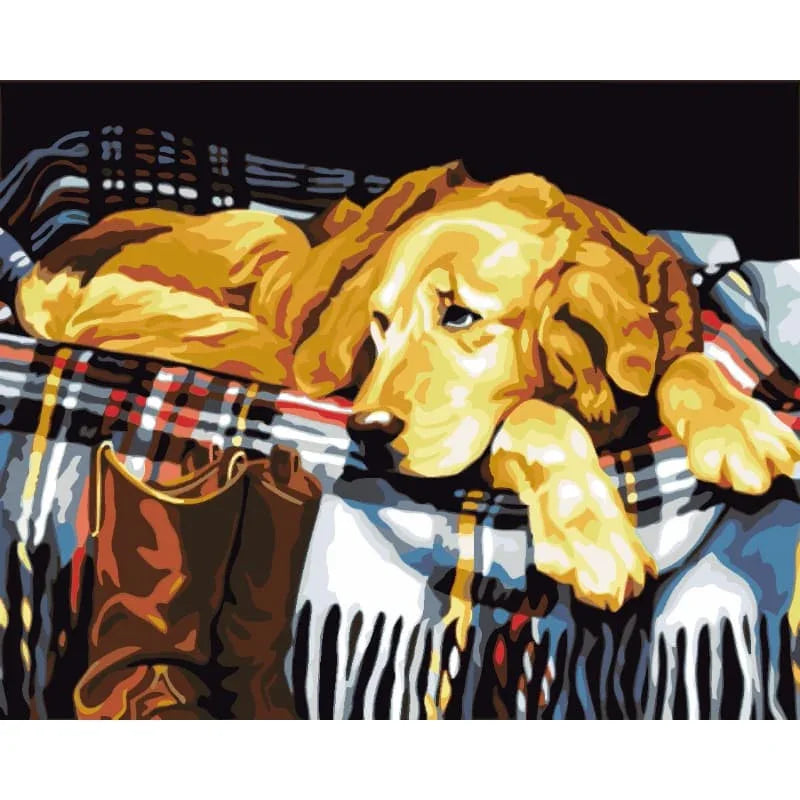 Golden Retriever Rest – Paint by Numbers - My Store