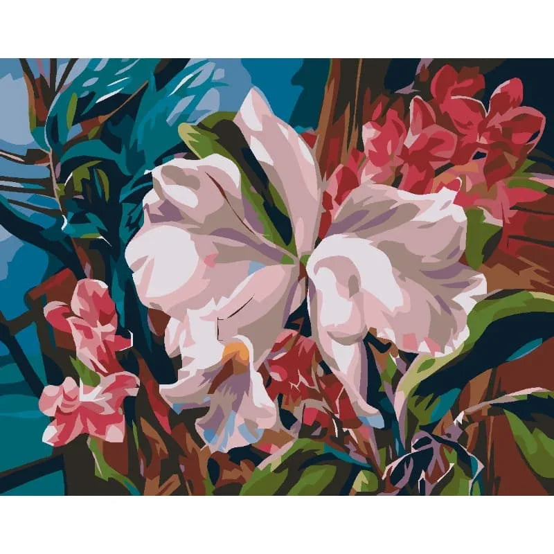 Orchid Bloom– Paint by Numbers - My Store