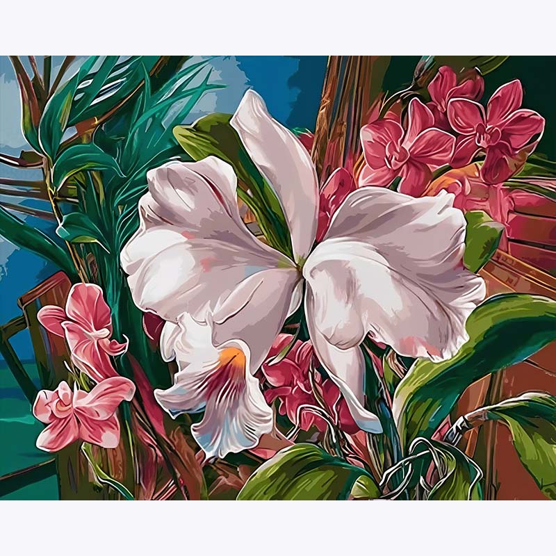 Orchid Bloom– Paint by Numbers - My Store