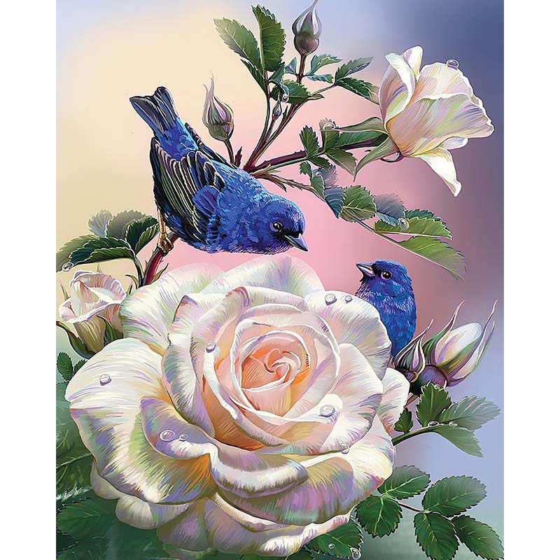 Bluebirds and Roses – Paint by Numbers - My Store