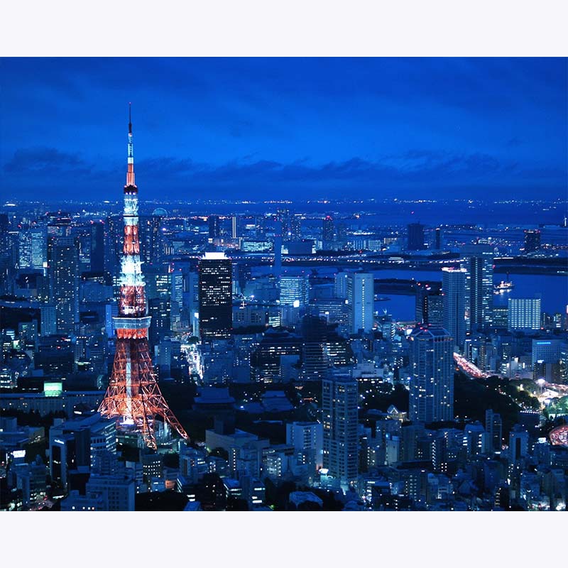Tokyo After Dusk – Paint by Numbers - My Store
