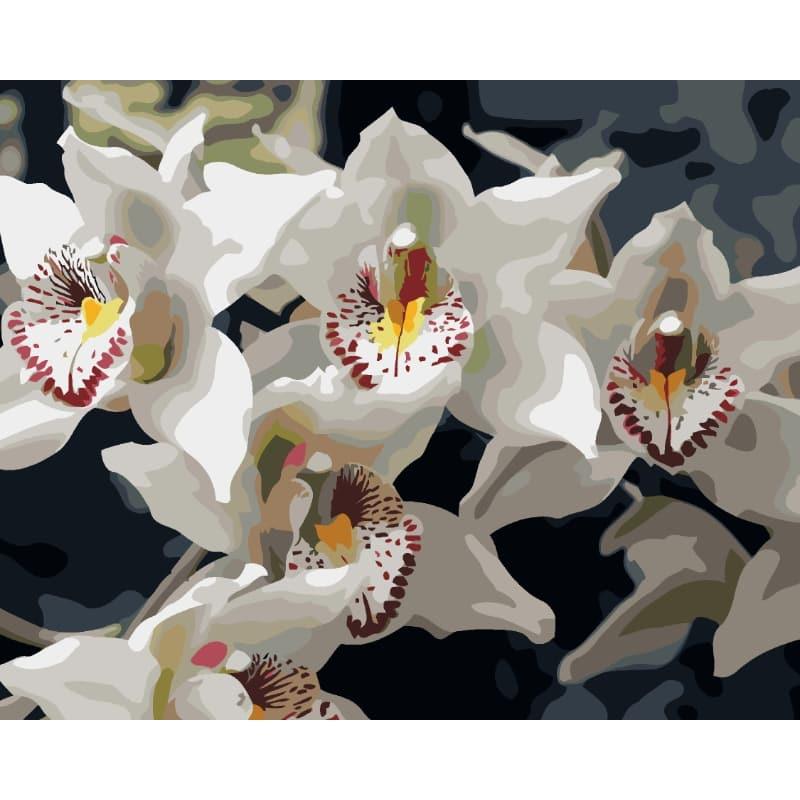 Orchid Elegance – Paint by Numbers - My Store