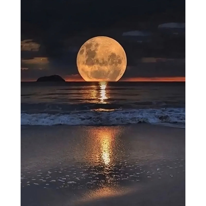 Tide of Light – Paint by Numbers - My Store