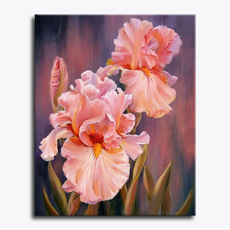 Iris Grace – Paint by Numbers - My Store