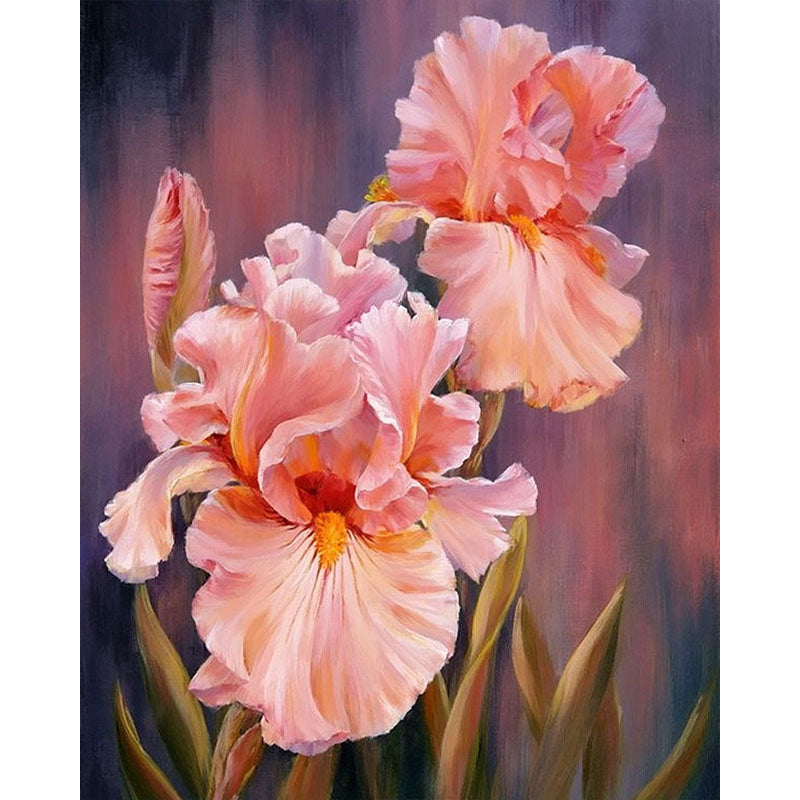 Iris Grace – Paint by Numbers - My Store