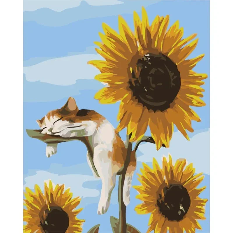 Sunflower Nap – Paint by Numbers - My Store