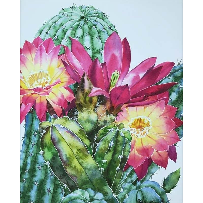Cactus Blooms – Paint by Numbers - My Store