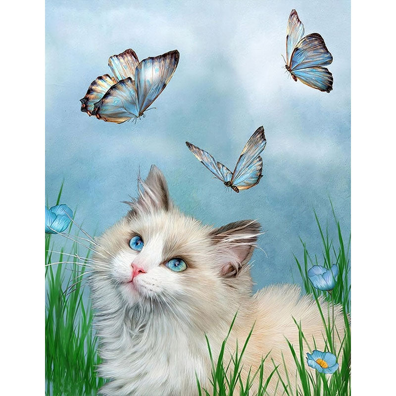 Cat with blue eyes surrounded by butterflies and flowers
