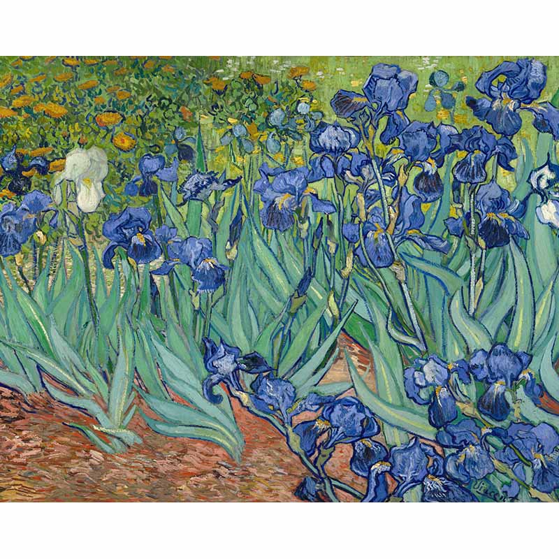 Irises by Van Gogh – Paint by Numbers