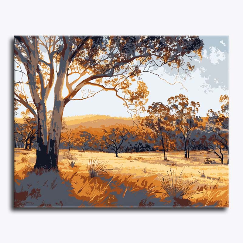 Paint by numbers of golden Australian bushland at sunset with eucalyptus trees and grass