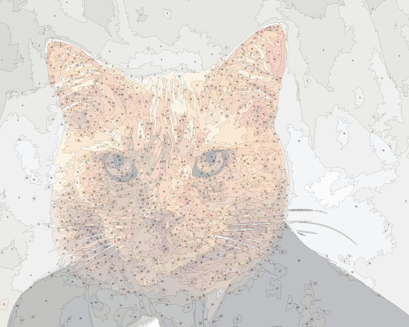 Paint-by-numbers canvas showing a numbered outline of a cat portrait before painting