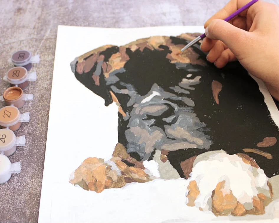 How to Pick the Best Photos for Custom Paint by Numbers