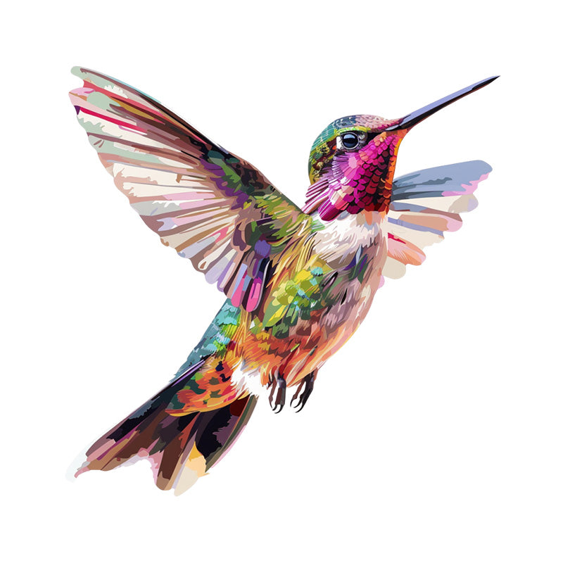 Radiant Hummingbird – Paint by Numbers