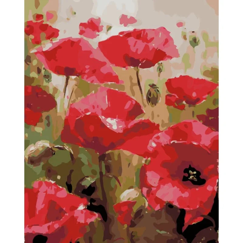 Crimson Poppies – Paint by Numbers - My Store