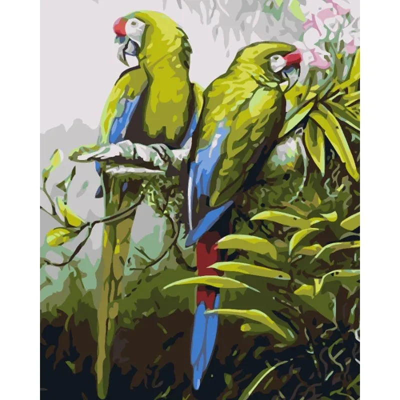 Parrot Pair – Paint by Numbers - My Store