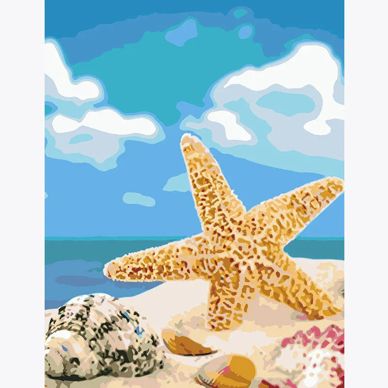 Sandy Star – Paint by Numbers - My Store