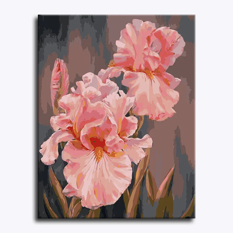 Iris Grace – Paint by Numbers - My Store