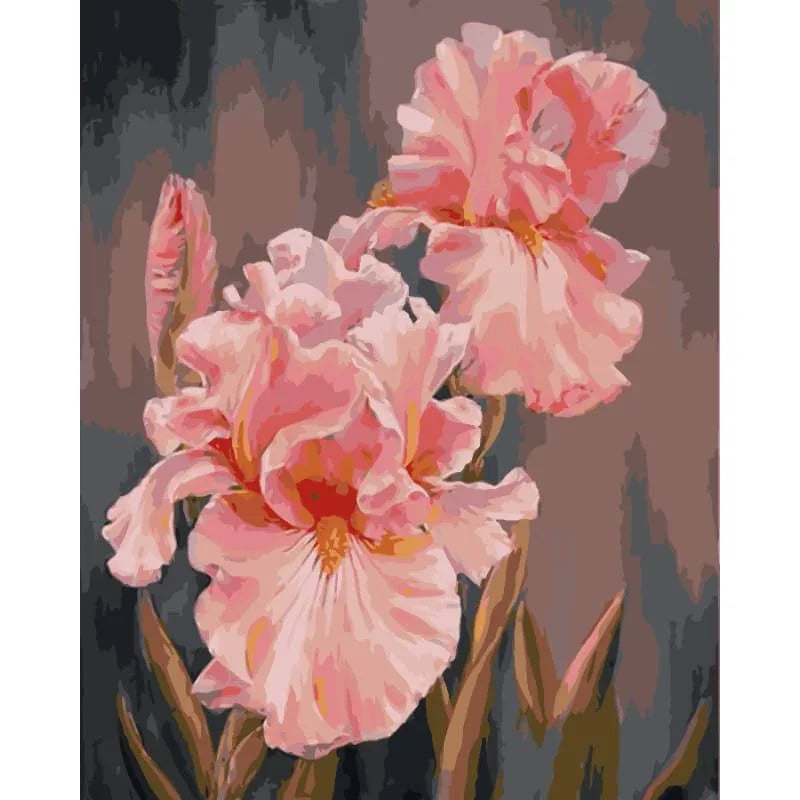 Iris Grace – Paint by Numbers - My Store