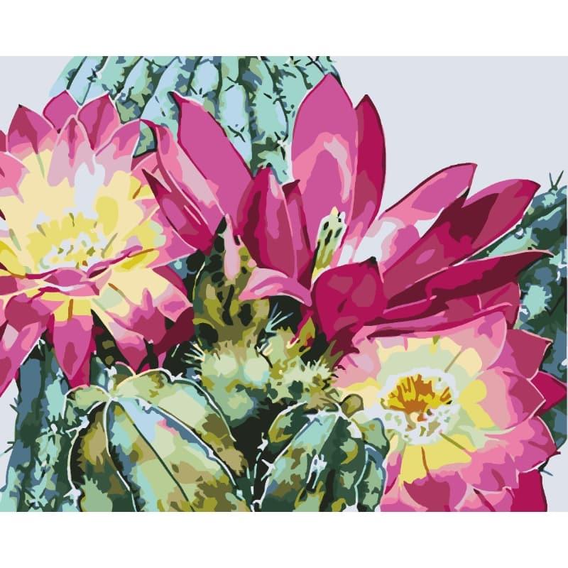 Cactus Blooms – Paint by Numbers - My Store