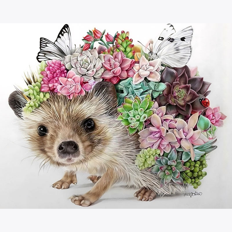 Hedgehog surrounded by colorful succulents and butterflies on a white background