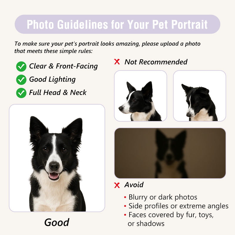 Custom Pet Paint by Numbers – The Silver Paladin