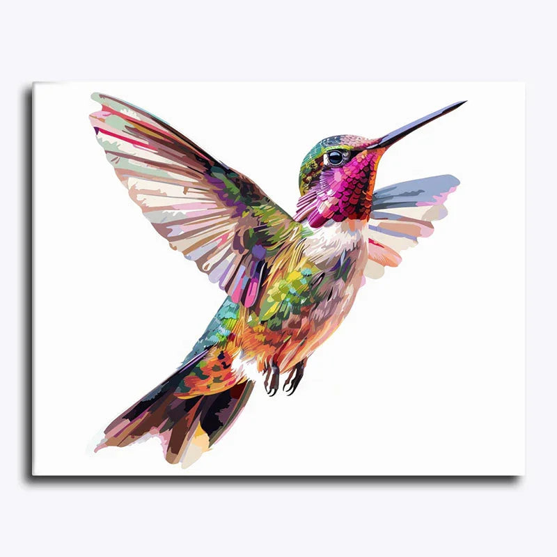 Colorful hummingbird painting on a white background