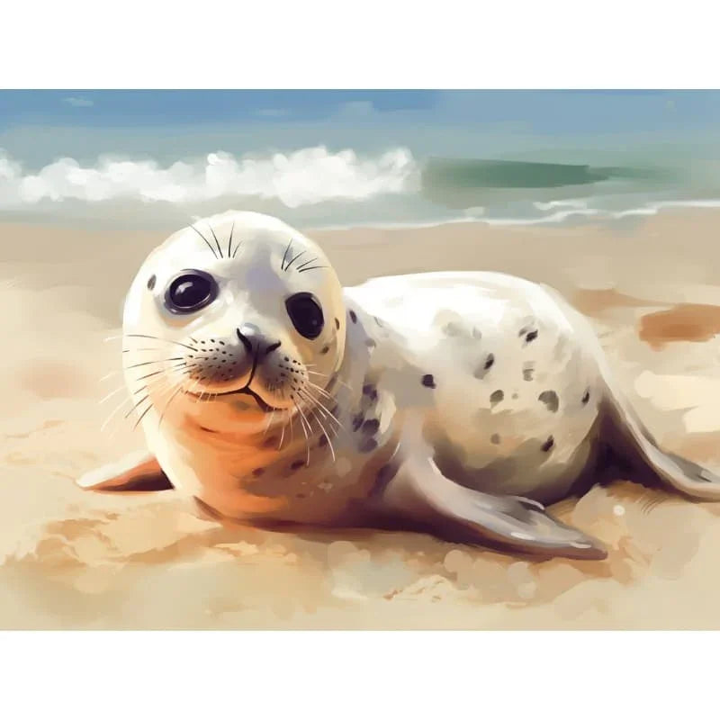 Seaside Baby Seal – Paint by Numbers - My Store